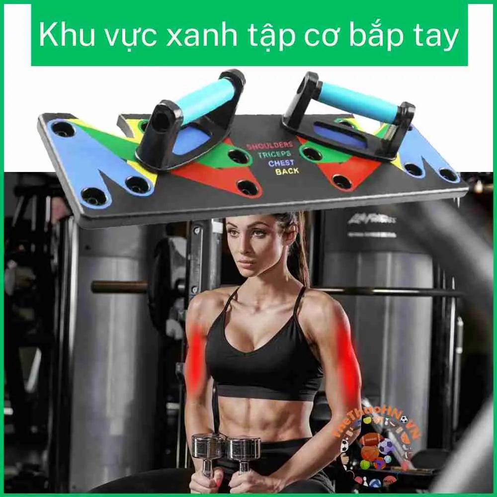 23 bàn chống đẩy (3).jfif.webp