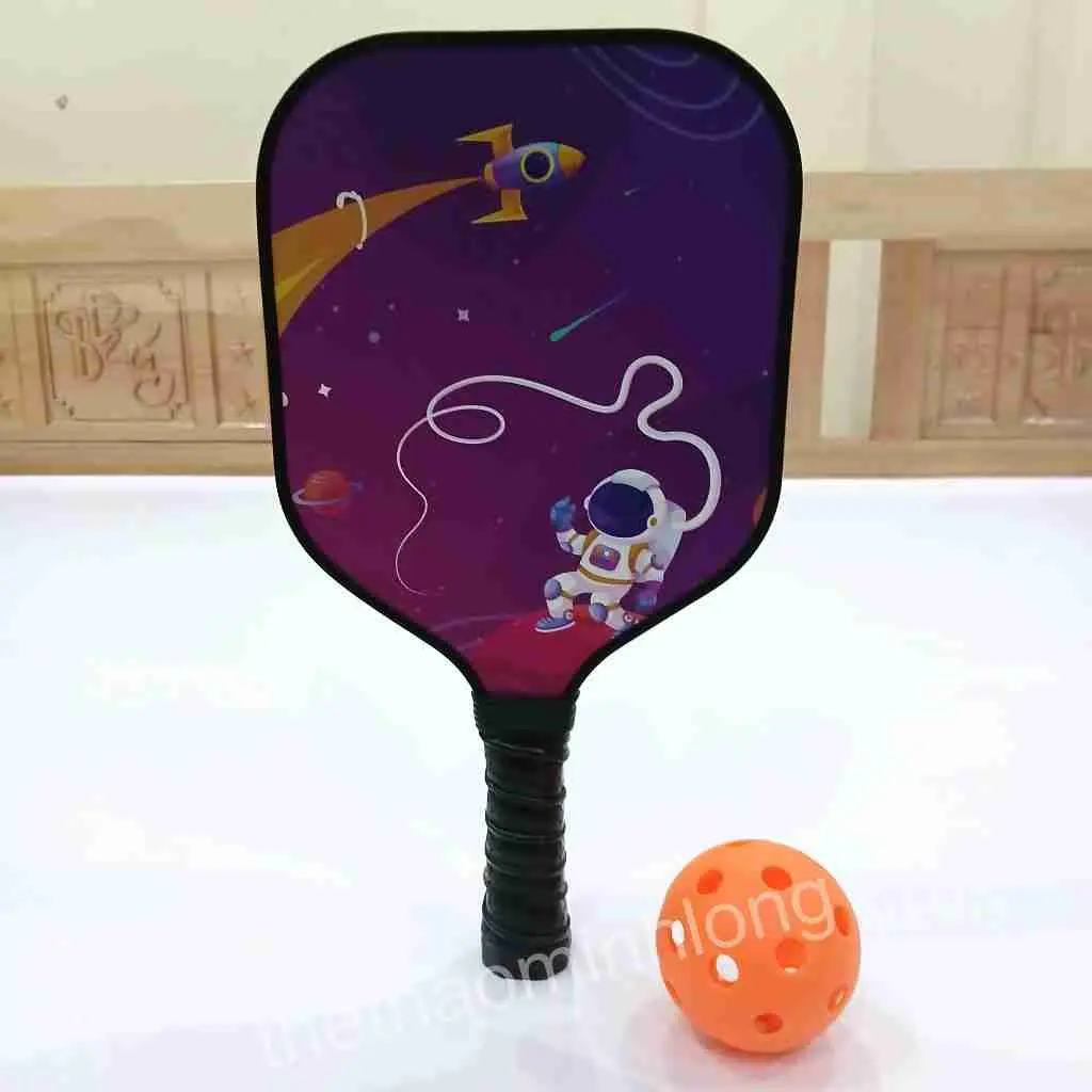 2006 vợt pickleball TE - Vợt Pickleball dành cho trẻ01.jfif (16).webp