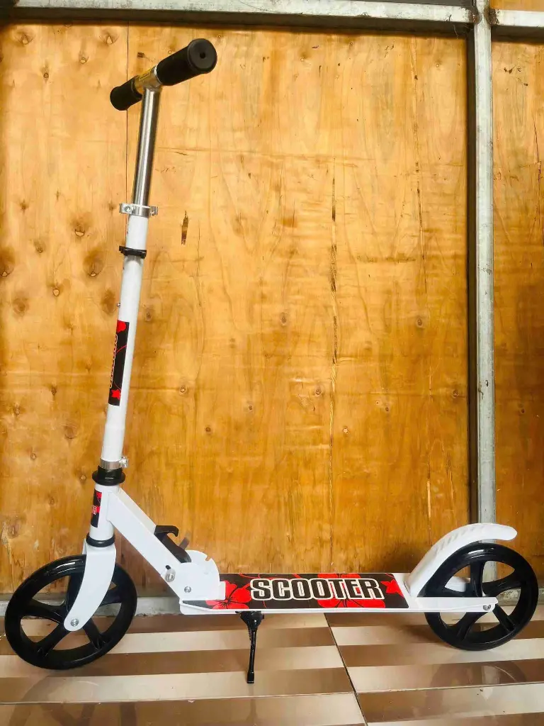 1000 xe scooter 616 (3).webp