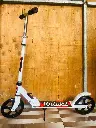 1000 xe scooter 616 (3).webp