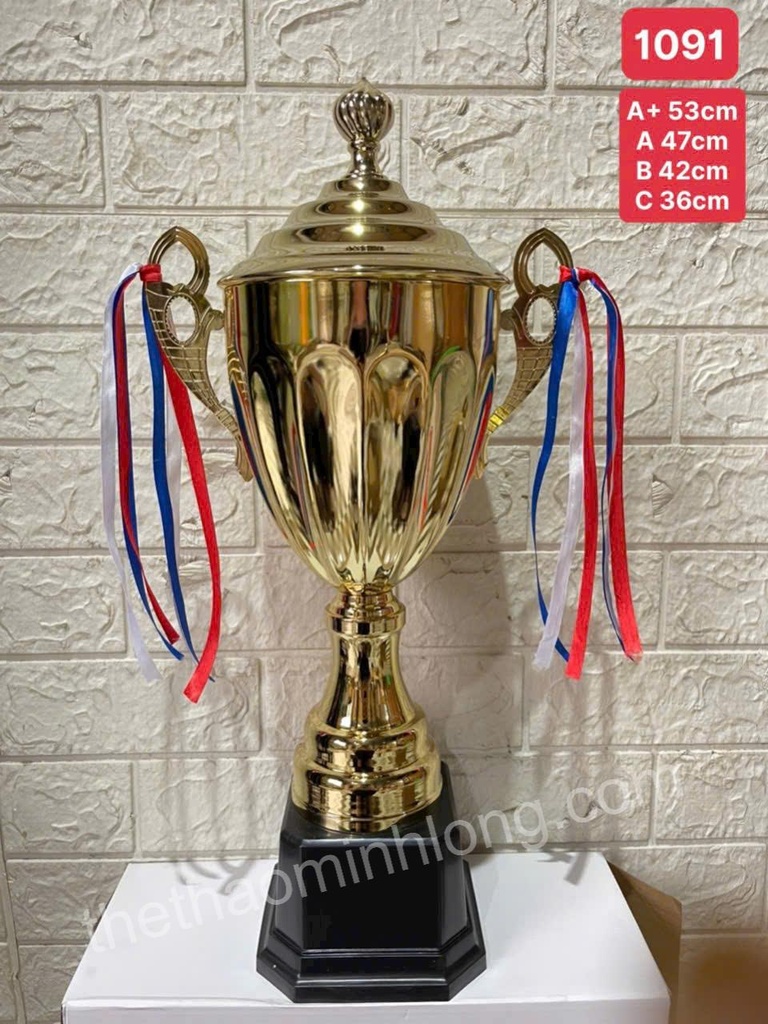 cúp 1091A - mã ML0192