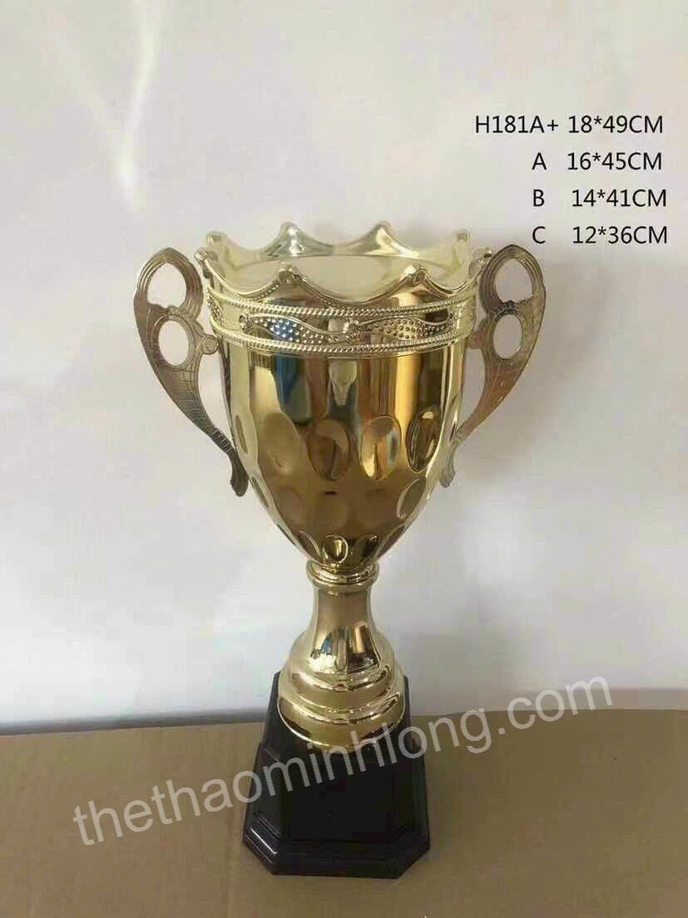 cúp H181A+ - mã ML0262 