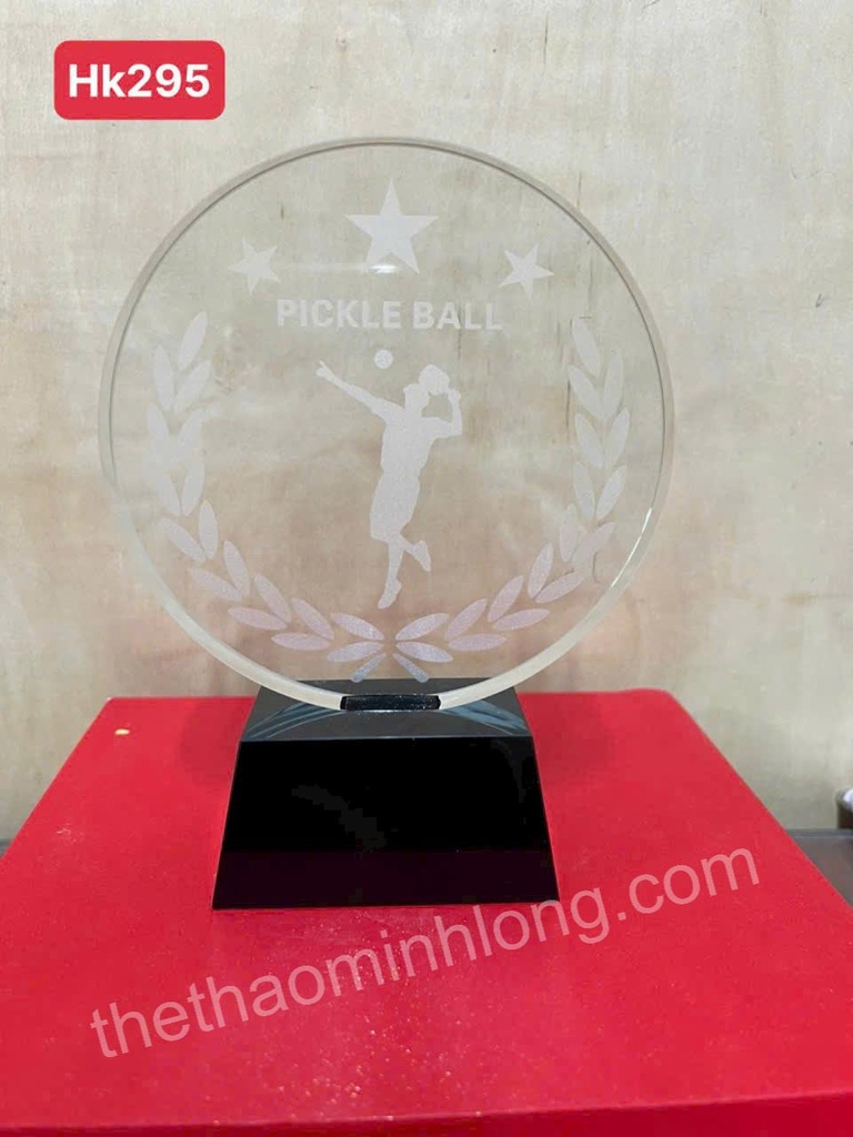 cúp pickleball hk295 - mã ML3002 