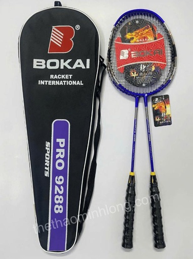 Vợt BK 9288 - mã ML0950 