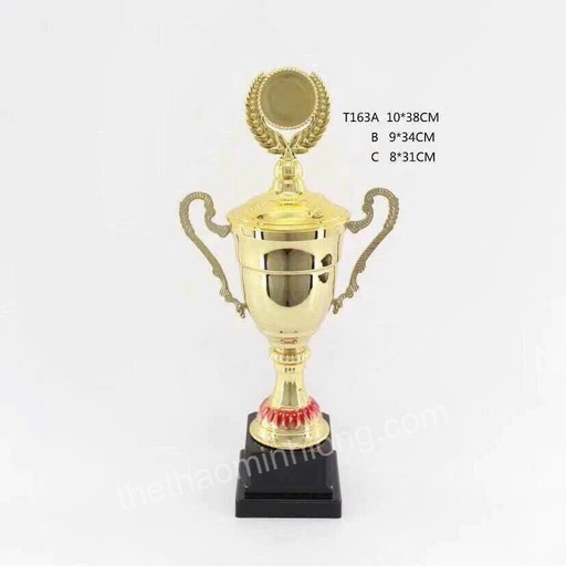 cúp T163A - mã ML0308 